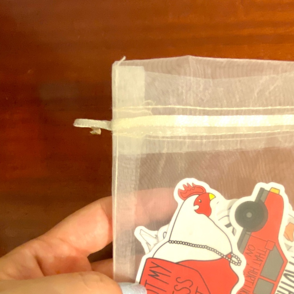 2/$10 VSCO Sticker Set Chicken Farm Southern - Picture 3 of 5